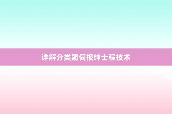 详解分类窥伺报绅士程技术