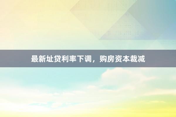 最新址贷利率下调，购房资本裁减